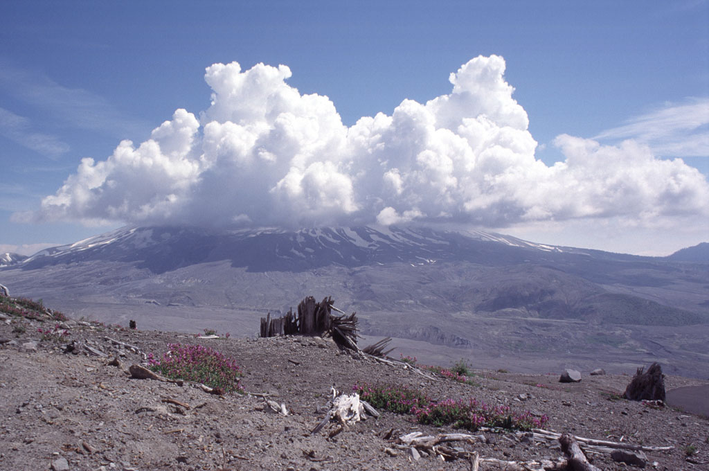 Mountain Mountain