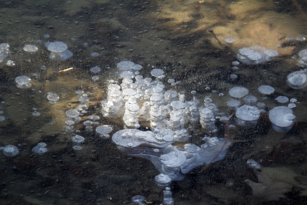 Ice bubbles Ice bubbles