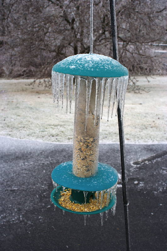 Ice Storm Ice Storm