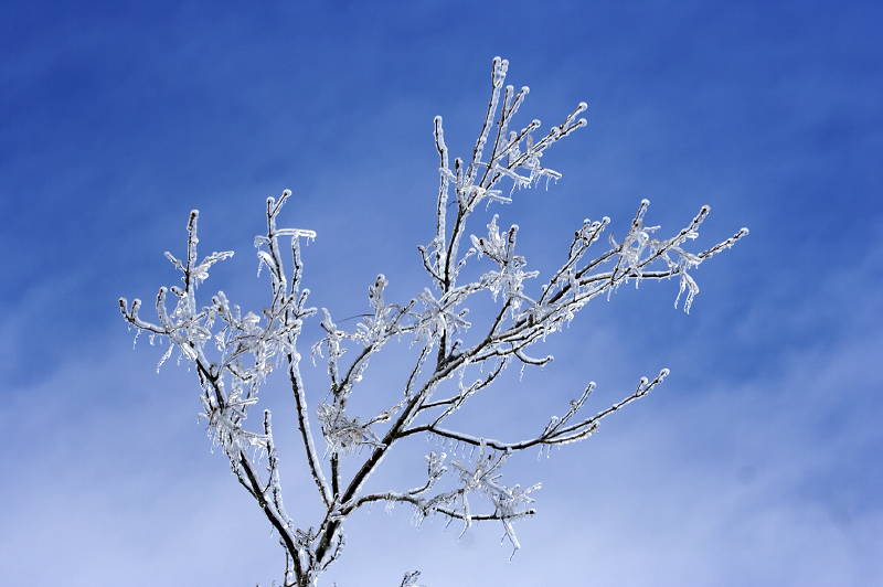 Ice Storm Ice Storm