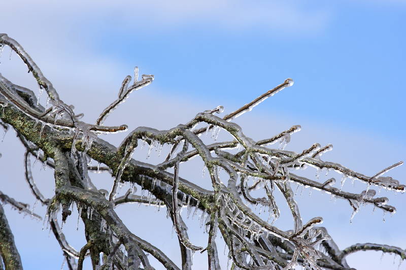 Ice Storm Ice Storm