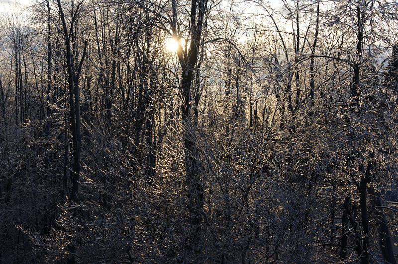 Ice Storm Ice Storm