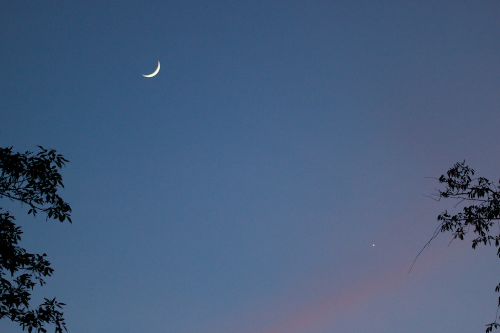 Moon and Venus Moon and Venus