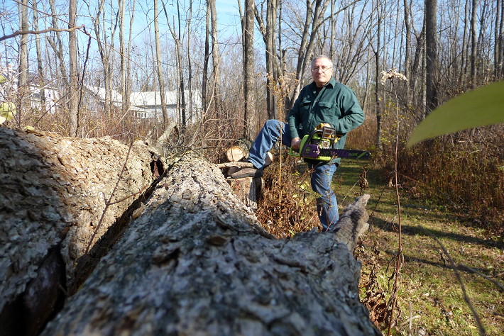 Me lumberjack Me lumberjack